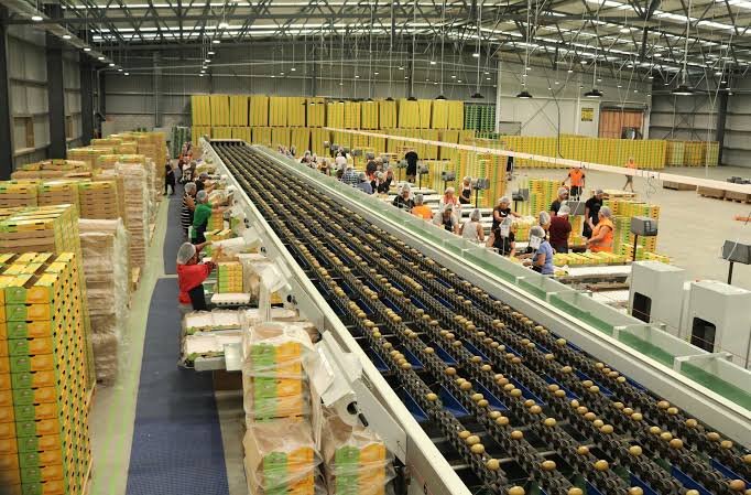 Cold-Chain Storage & Packaging