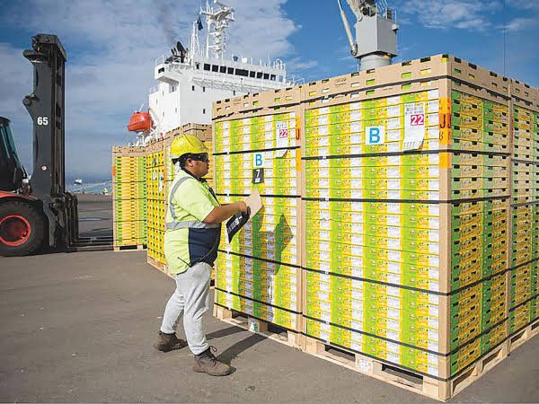 Port Loading at Tauranga