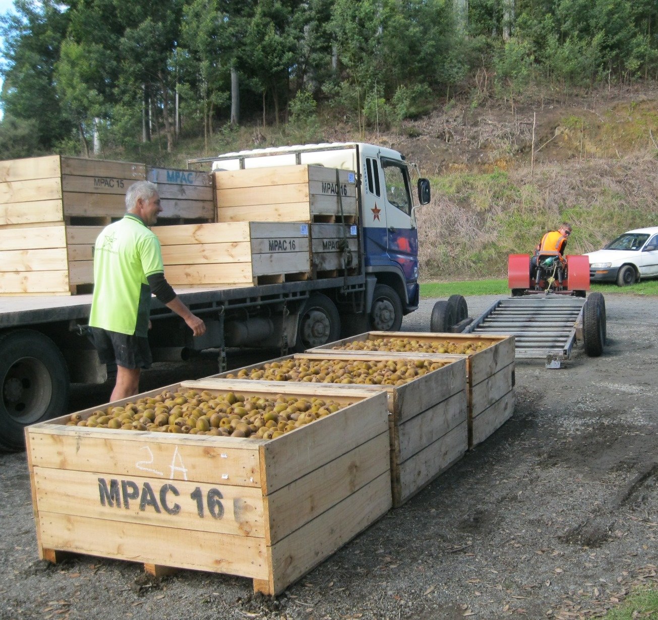 Global Dealer Delivery